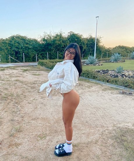 Gabrielle Wlisses sex star images