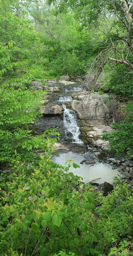 mara elysse pornstar nice pic