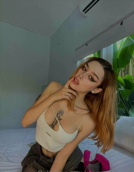 stormy bunny hot star images