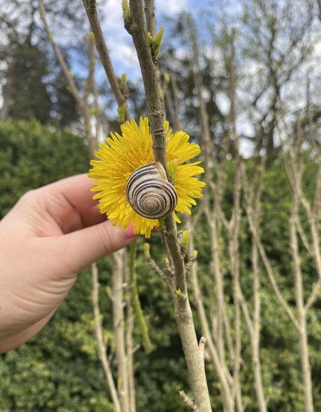 florence agapi sexy actress img