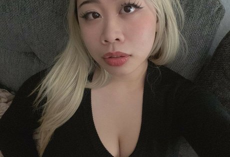 kiwireii beautiful star archive