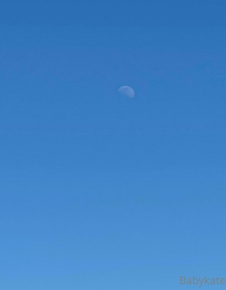 katemodelo model nude galleries