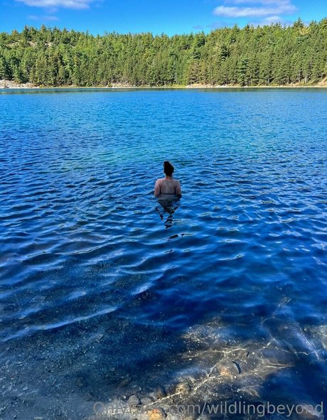 wildlingbeyond pornographic model pictures