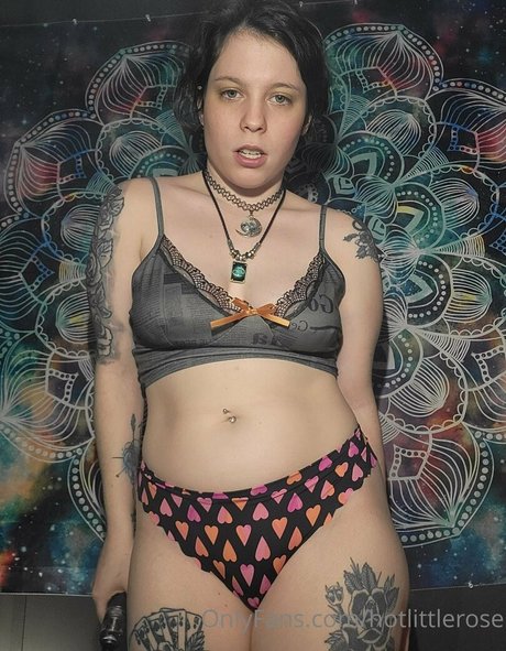 icefreak 16 top star pic