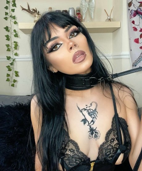 Portsmouth free star images