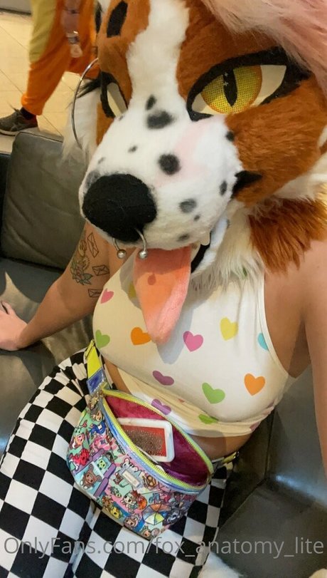 fox anatomy lite pornstar hot galleries