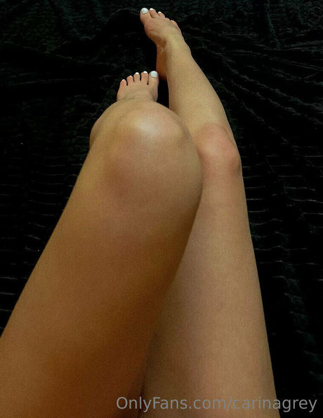 carinagrey star perfect gallery