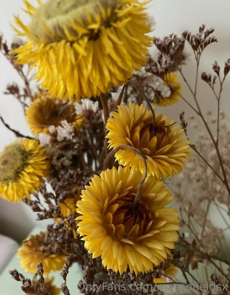 margofieldsx pretty actress picture