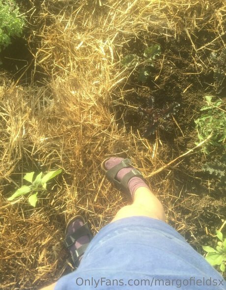 margofieldsx pornstar hd archive