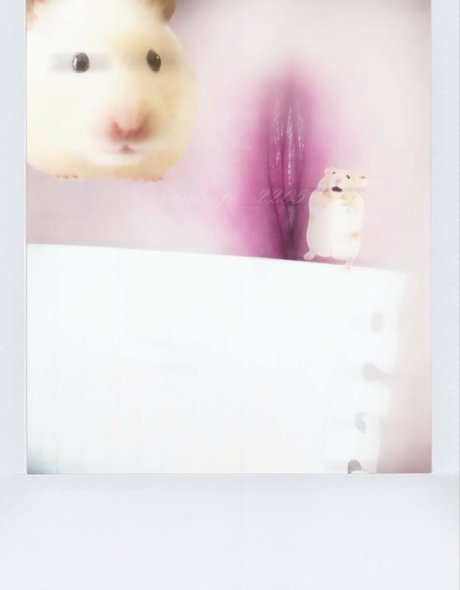 suabap 2205 beautiful model photo