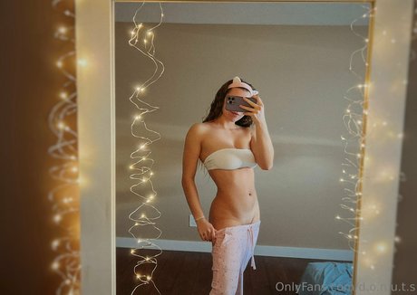 d o n u t s nice model gallery