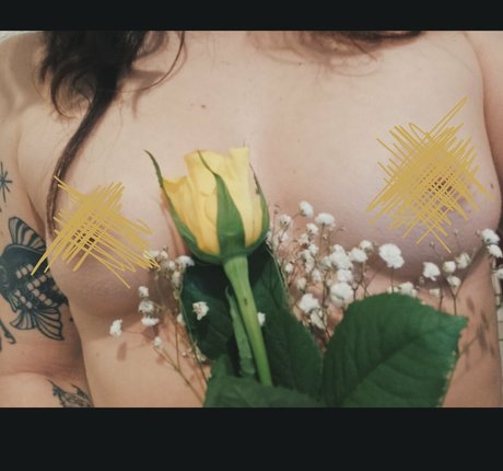 laurettavixen erotic star gallery