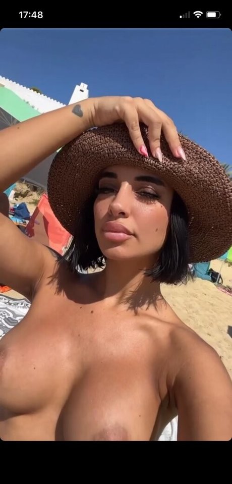 Vedelweis art model img