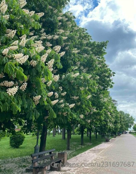 dick rating onlyfans hot xxx images