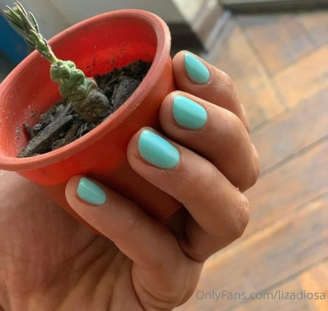 lizadiosa pornstar nude pic