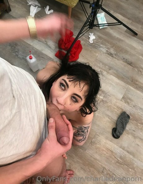 charliedeanporn Profile pic