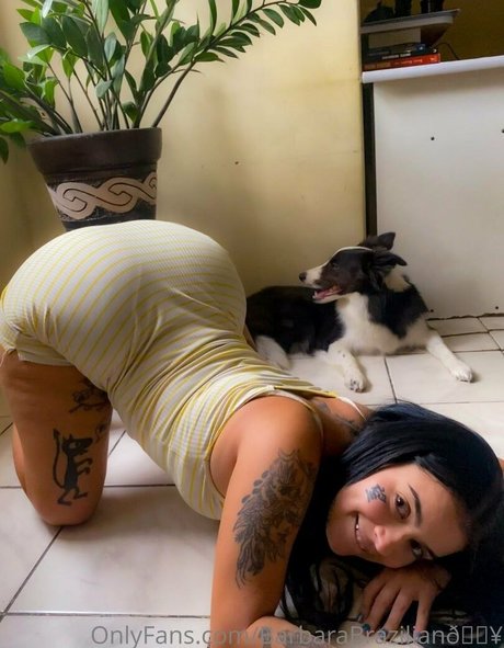 Barbara Brazilian free pornstar photos