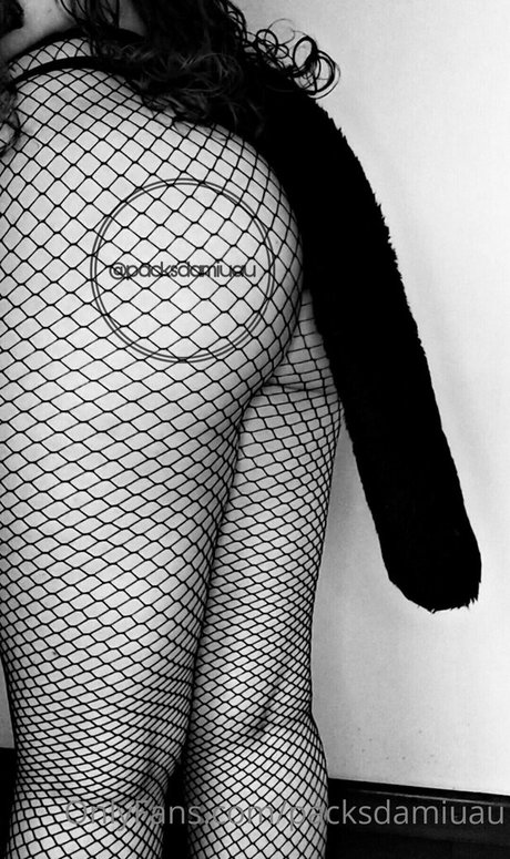 packsdamiuau erotic star archive