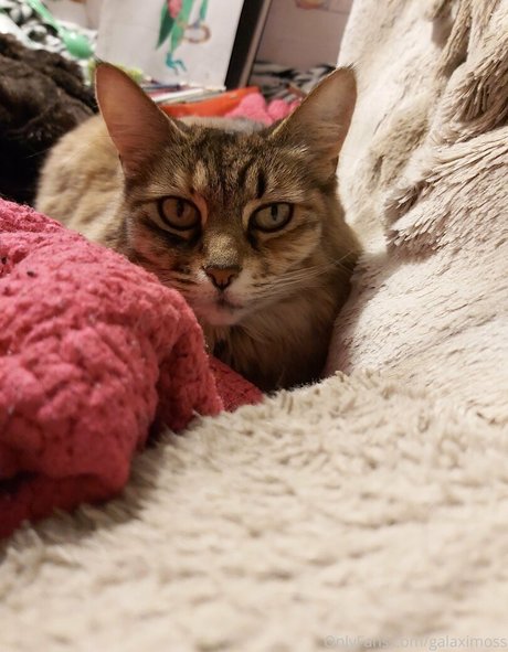 asian cum onlyfans exclusive pictures