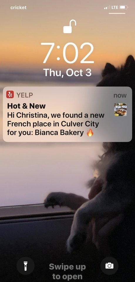 Elenakoshkaxoxo model porn archive