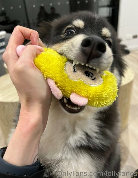 lollyfangs sexy model img