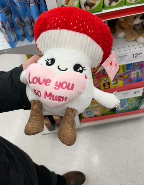 onion onlyfans free porn gallery