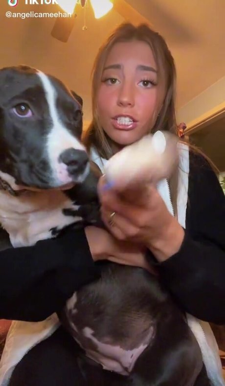 Angelica Meehan adult star pictures