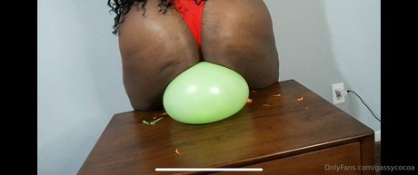 gassycocoa high quality pornstar image