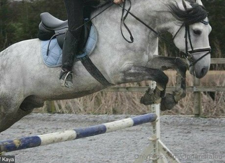 cindarellalou free actress picture