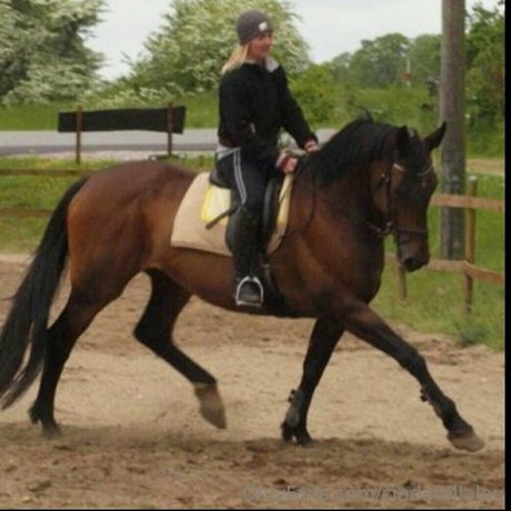 cindarellalou hot star galleries