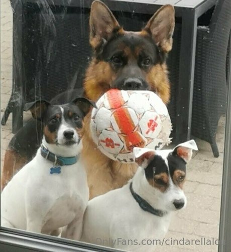 cindarellalou nude actress pictures