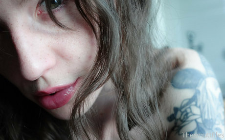 snoot exclusive star archive