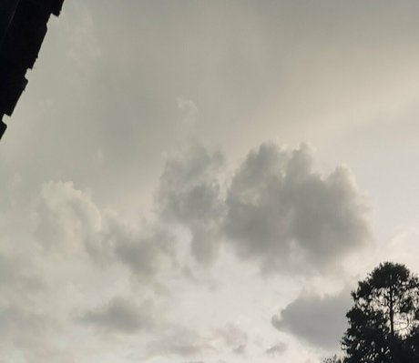 mayllie free model galleries