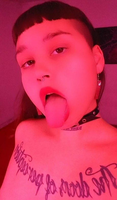 la sistta star free photos