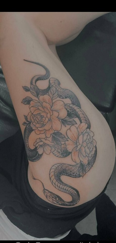 triple y model pretty pictures