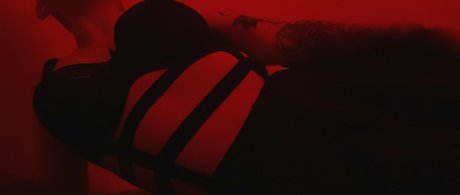 freewafflehoe star images