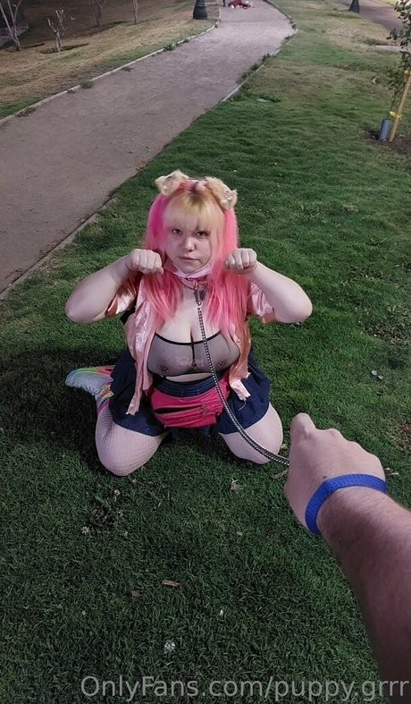 puppy grrr beautiful model img