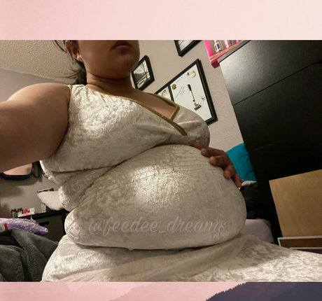 feedee dreams best pornstar photos