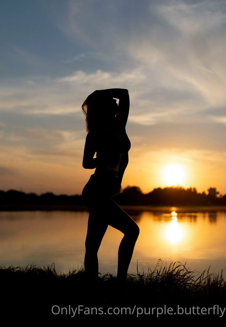 purple butterfly star adult photos