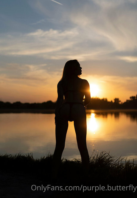 purple butterfly star sex archive