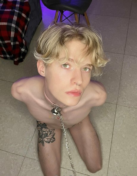 mark sinn best actress gallery