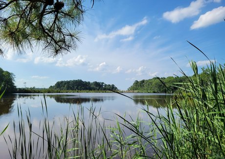 gingerhippie74 hot actress galleries