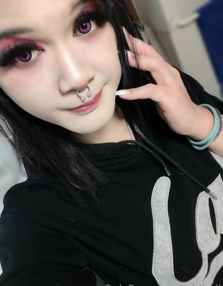 addiroll model pretty galleries