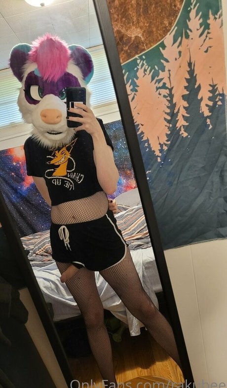 rakubee nice star images