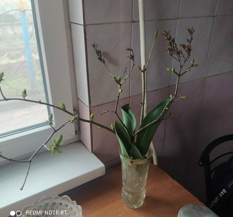 karinamoonn star beautiful image