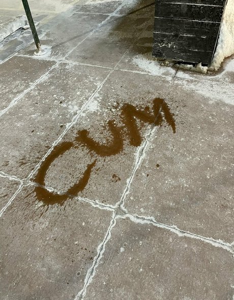 thenymphonextdoor free model galleries