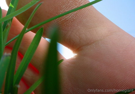 homegiant erotic model pic