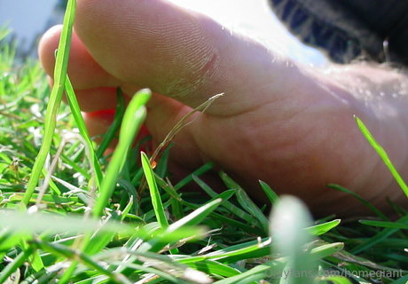 homegiant pornstar exclusive pic