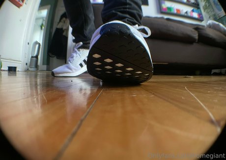 homegiant star high quality gallery