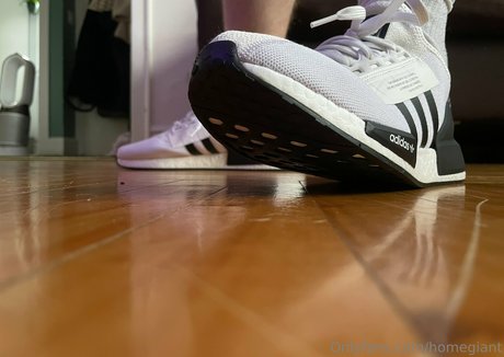 homegiant adult star gallery